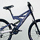Ravo Graze 2006