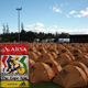 Cape Epic 2007