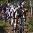 Seri�ly bikemarathon� - jak� jsou?