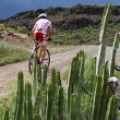 SP MX no.1 - Gran Canaria
