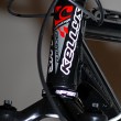 Kelly�s 2008