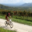 Parenzana 2007