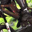 Muddy Krupka 2008