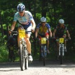 Mosteck� bikov� n��ez