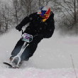 Prokop ovl�dl Stapaho Snowscoot Contest