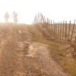 Cape Epic 09: And�l str�n�?