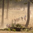 Cape Epic 09: konec bikov�ho sv�tku