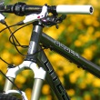Litespeed Ocoee Jana Hru�ky