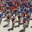 P�ehled n�rodn�ch �ampion� XC 2009