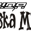 JINSK WEBER CUP 2013 - #2 okolo Tna