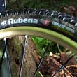 Rubena Charybdis & Scylla TEST