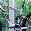 Giant 2011