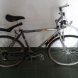 Author Horizon 20" Cross
