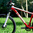 Pells X 6 preview