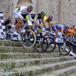 Maremma Cup 2011