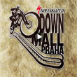 Specialized DownMall 2011 videopozv�nka