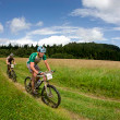 Brentjens a dal��ch 18 n�rod� na Sudety MTB Challenge 2011 