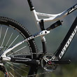 Cannondale Scalpel 29 Hi-Mod 1