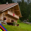 �e�t� junio�i skon�ili daleko za o�ek�v�n�m