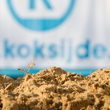 P�edstavujeme okruh mistrovstv� sv�ta v Koksijde