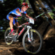 Slovenské eso Sagan na startu MTB v Londýně? Je to možné!