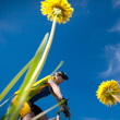 Merida Bike Vyso�ina - neprop�sn�te registraci!