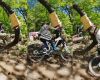 WBC #2 Podkopn� lhota 2008