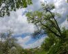 WBC #2 Podkopn� lhota 2008