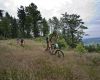 Znojmo Znov�n maraton Cup 2008 - Apache Jest�eb� Hory 21.6.  Foto: Milo� Lubas