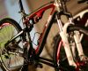 4Ever 2009 - prezentace z�mek Kozel