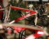 4Ever 2009 - prezentace z�mek Kozel