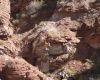Red Bull Rampage the Evolution 2008, Virgin - Utah, USA - Daren Berrecloth, foto: Pavel Mikez