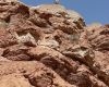Red Bull Rampage the Evolution 2008, Virgin - Utah, USA, MRSN p�ed startem, foto: Pavel Mikez