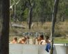 Crocodile Trophy 2008 - 3. etapa: sprchy