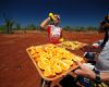 Crocodile Trophy '08 - 5.etapa: osv�en� v bu�i