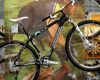 Sport Prague 2009: Gary Fisher Superfly 29"