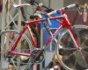 Sport Prague 2009: Trek Madone 6.5