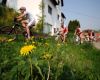 PowerBar MTB Pos�zav�m 2009