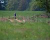 PowerBar MTB Pos�zav�m 2009
