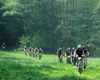 PowerBar MTB Pos�zav�m 2009
