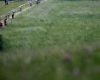 �P MTB XC #3 2009 - Okrouhl�: stoup�n� po louce