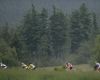 �P MTB XC #3 2009 - Okrouhl�: start juniorek