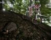 �P MTB XC #3 2009 - Okrouhl�: Matou� Ulman