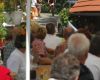 Mistrovstv� sv�ta v MTB maratonu 2009 - Graz /AUT/: pr�jezd vinicemi