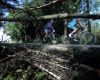 Mistrovstv� sv�ta v MTB maratonu 2009 - Graz /AUT/: �elo bez hlavy...
