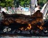 Podkrkono�sk� maraton 2009 - atmosf�ra v c�li...