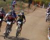 Mistrovstv� sv�ta MTB XCO 2009 - Canberra /AUS/ - �elo z�vodu ve druh�m okruhu - zleva Vogel, Schurter, Absalon a Lindgren