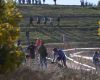 Mistrovstv� sv�ta MTB XCO 2009 - Canberra /AUS/ - Jaroslav Kulhav�