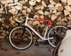 Nicolai 2009 - n�v�t�va v�roby - s ��m jezd� u Nicolaie...