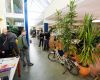 Rohloff 2009 - vstupn� prostor
